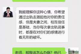 全南信息咨询